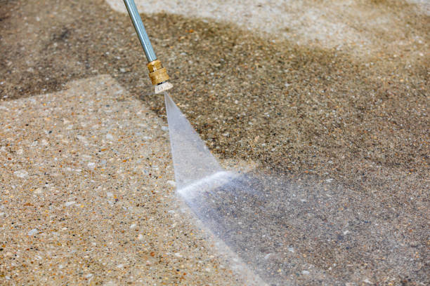 Best Roof Washing  in Nazareth, PA